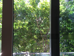 The Seafront On Meyer (D15), Condominium #122589712